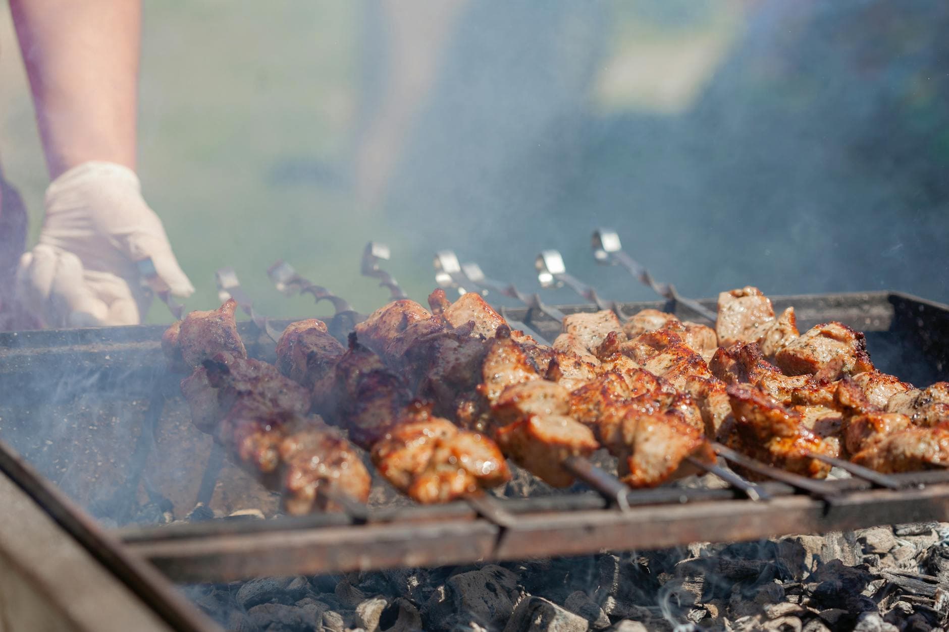 Mixed Grill-Chicken